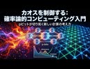 カオスを制御する：確率論的コンピューティング入門 ― pビットが切り拓く新しい計算の考え方 ―