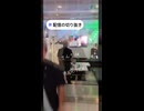 さんちんの切り抜き