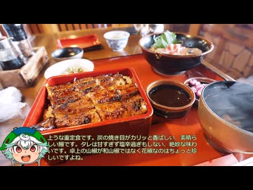 ロードバイク納車記念うな神訪問紙芝居【うな神RTA】