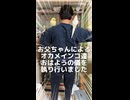 お父ちゃんによるオカメインコ達おはようの儀を執り行いました