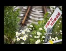 エビシマの森