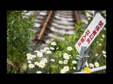 エビシマの森