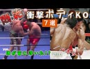 【格闘技】衝撃的なボディＫＯ！７選「バキッと」