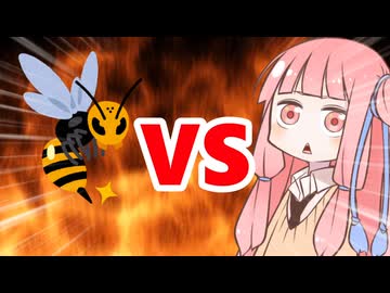 真・茜ちゃんVSハチ