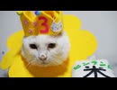 宝石神獣、「神様のおつかい」を思い出す