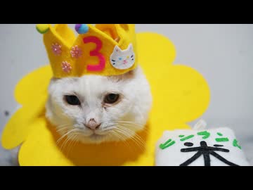 宝石神獣、「神様のおつかい」を思い出す