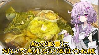 ニコニコ動画