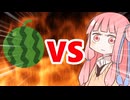 真・茜ちゃんVSスイカ割り