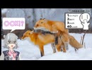 〇〇X！？【シンプル車載動画投稿祭2026】