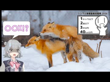 〇〇X！？【シンプル車載動画投稿祭2026】
