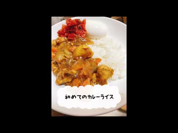 【料理修行中踊り手】初めてカレーを作ってみた