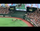東京ドーム寿司レースを後ろから2026年7月9日