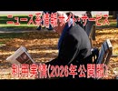 【動画News】ニュース系情報サイト・サービス利用実情(2026年公開版)(2026/07/14)