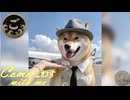 Come ごわす with me