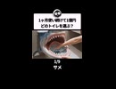 どのトイレを選ぶ？1ヶ月同じトイレを使い続けるだけで1億円