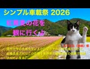 【シンプル車載投稿祭 2026】　吉賀町・紅（Beni)蕎麦のお花見へGO！　島根県鹿足郡吉賀町
