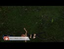 ファイアーエムブレム無双　セリカ　１１