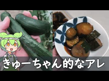 畑で採れたきゅうりでキューちゃん的なヤツを作る（2026年6月）