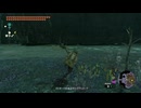 【ティアキン】グリオークの巣のキンググリオーク　ゼルダの伝説ティアーズオブザキングダムNintendo Switch 2 Edition