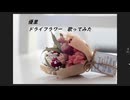ドライフラワー　歌わせていただきました。