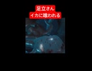 【龍が如く8／ハイライト】足立さん、イカに喰われる