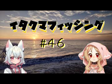 イタクマフィッシング＃46　小さい夏見つけた！
