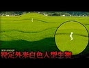 財団が隠蔽した『くねくね』の正体。【SCP-3785-JP】【ゆっくりSCP解説】