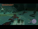 【ティアキン】カカタネミの根付近の黒曜デグガーマ　ゼルダの伝説ティアーズ オブ ザ キングダムNintendo Switch 2 Edition