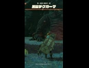 【ティアキン】カカタネミの根付近の黒曜デグガーマ　ゼルダの伝説ティアーズ オブ ザ キングダムNintendo Switch 2 Edition