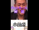 ゆかつむネットミーム解説淫夢ネタ【小並感】