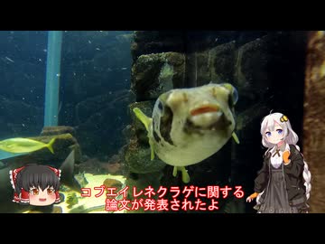 色々足りないうｐ主のゆっくり旅行記　福島・山形・新潟編　第６話