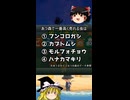 虫の値段クイズ【あつまれ どうぶつの森】