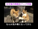 女王猫の豪快なロシアンフック