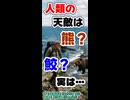【人類の天敵】クマより怖い！人類が最も恐れる生き物とは【CeVIO AI 花隈千冬】