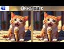 【！脳トレ+育脳に最適☆まちがい探しタイム！ 】＃578