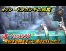 ヨッシーとフカシギの図鑑　６章　ジェットクラゲ　骨のすき間をすごい速さでくぐった！　＃５９７　【Switch2】