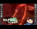 『初見ベリーハード#11』ベリハで謎の赤いゴーレムにめっちゃ足止めを食らうハイラル初代王ラウル【ゼルダ無双封印戦記/ゆっくり実況】