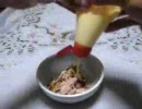 TSUNAMAYOせよ！【ツナマヨP支援動画】