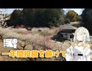 ペーパードライバー詞音ちゃん #10.5【シンプル車載動画投稿祭2026】
