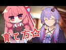 みなさんに琴葉茜の育て方を教えましょう【VOICEROID劇場】