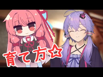 みなさんに琴葉茜の育て方を教えましょう【VOICEROID劇場】