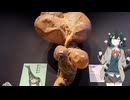 モカレポ in the いきもの超ワールド展【宮舞モカ投稿祭夏】