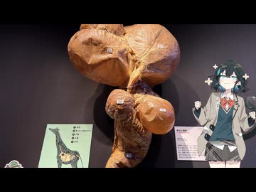 モカレポ in the いきもの超ワールド展【宮舞モカ投稿祭夏】