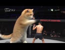ホモと見るボクシングやってるネコ