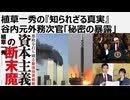 植草一秀の知られざる真実　谷内元外務次官「秘密の暴露」　  日本は法治国家ではない。偽装テロから戦争に突き進む世界　世界の国々は偽装民主主義国家でしかない
