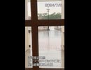 【2024/7/6】雷雨のディズニーシー【TDS】