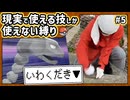【ポケモン】現実で使える技しか使ってはいけない縛り（Part⑤）