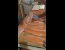 チリ産サーモン工場で人工着色～灰色の身に赤い染料を塗りまくる衝撃映像～