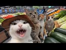 ホモと見る猫系youtuberのクッソ楽しそうな休日