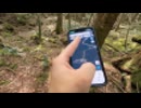 ホモと見る樹海でとんでもないものを見つけてしまう配信者